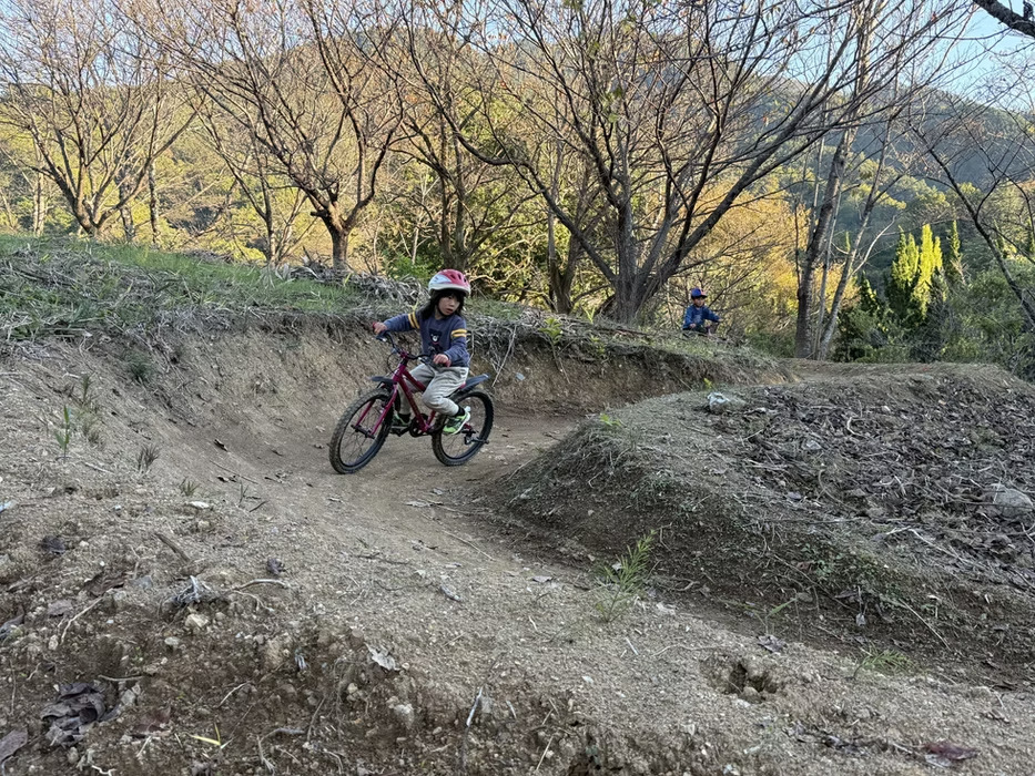 市川公園の写真3